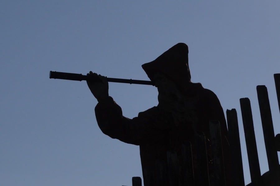 spy on competitors seo